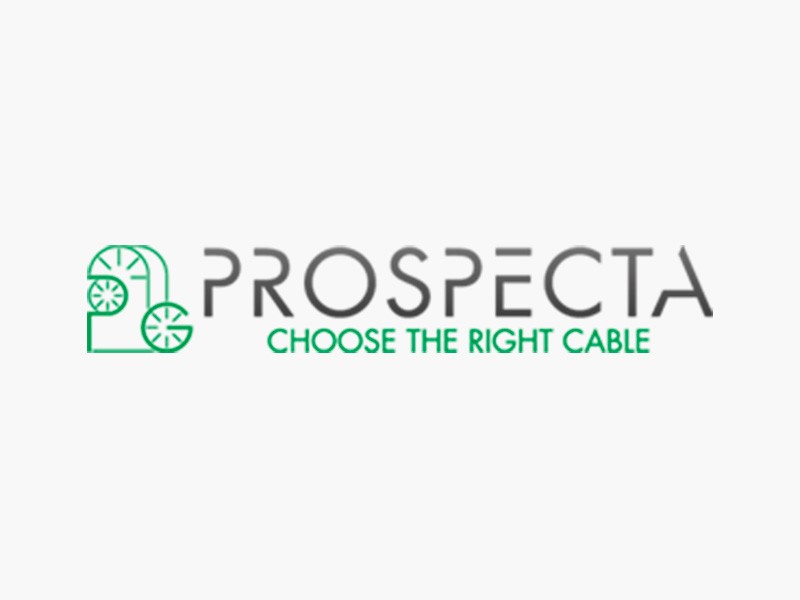 Punto Sicurezza e Prospecta