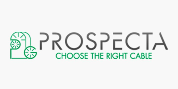 Prospecta Partners Punto Sicurezza