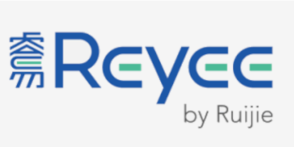 Reyee Partners Punto Sicurezza