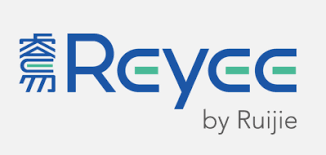 Reyee Partners Punto Sicurezza