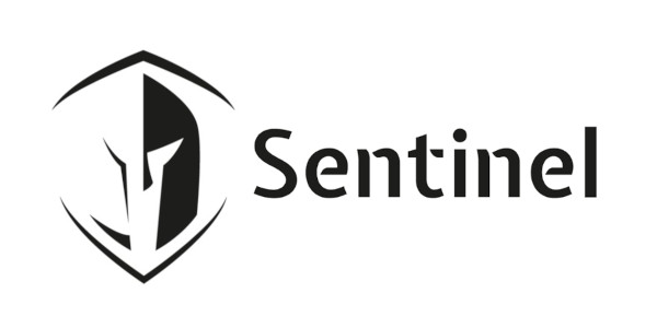 Sentinel Partners Punto Sicurezza